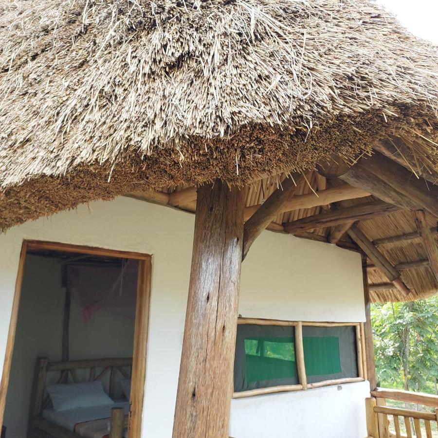 Songbird Safari Lodge & Campsite Katunguru المظهر الخارجي الصورة